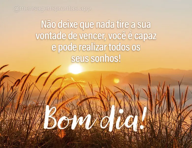 Não deixe que nada tire a sua vontade de vencer, você é capaz e pode realizar todos os seus sonhos! Bom dia!