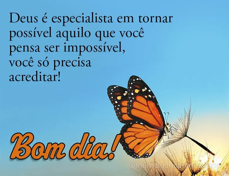 Deus é especialista em tornar possível aquilo que você pensa ser impossível, você só precisa acreditar! Bom dia!