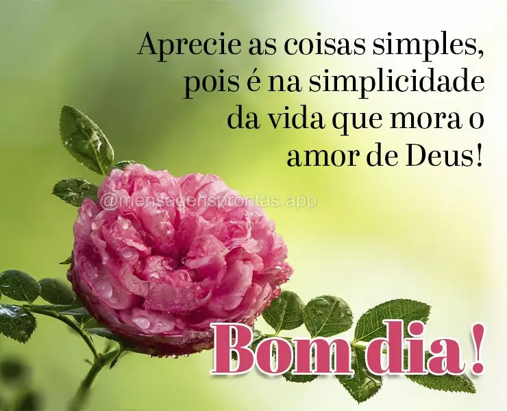 Aprecie as coisas simples, pois é na simplicidade da vida que mora o amor de Deus! Bom dia!