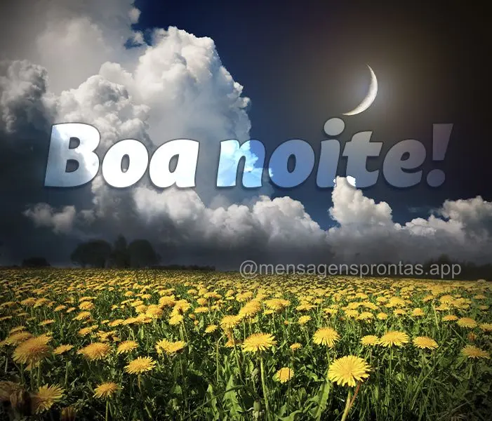Boa noite!