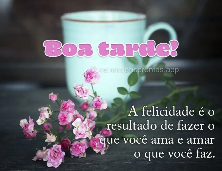 A felicidade é o resultado de fazer o que você ama e amar o que você faz. Boa tarde!