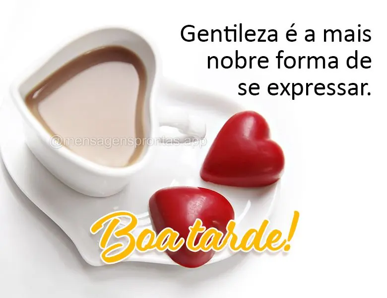 Gentileza é a mais nobre forma de se expressar. Boa tarde!