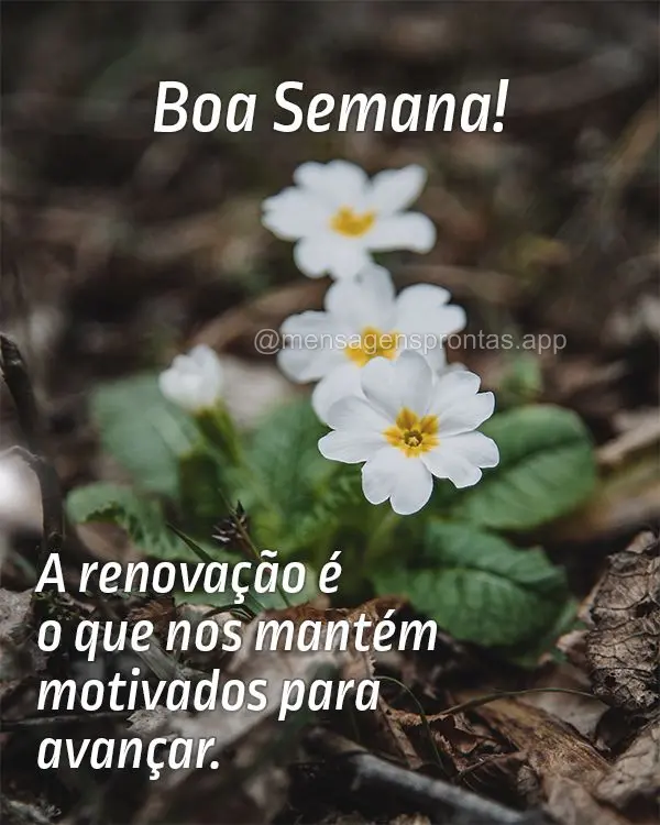 A renovação é o que nos mantém motivados para avançar. Boa semana!