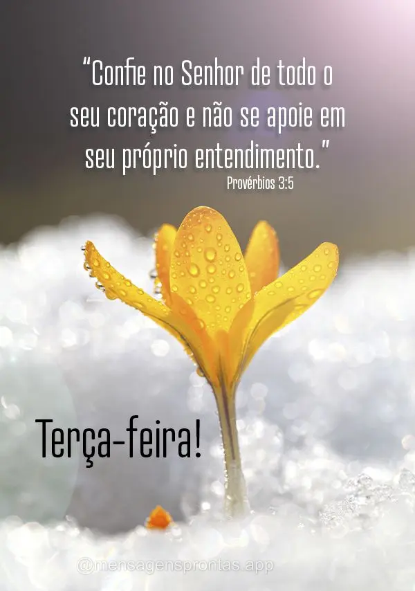 “Confie no Senhor de todo o seu coração e não se apoie em seu próprio entendimento.” Provérbios 3:5