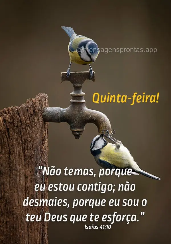 “Não temas, porque eu estou contigo; não desmaies, porque eu sou o teu Deus que te esforça.” Quinta-feira! Isaías 41:10