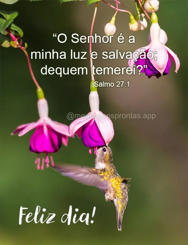 “O Senhor é a minha luz e salvação; de quem temerei?” Feliz dia! Salmo 27:1