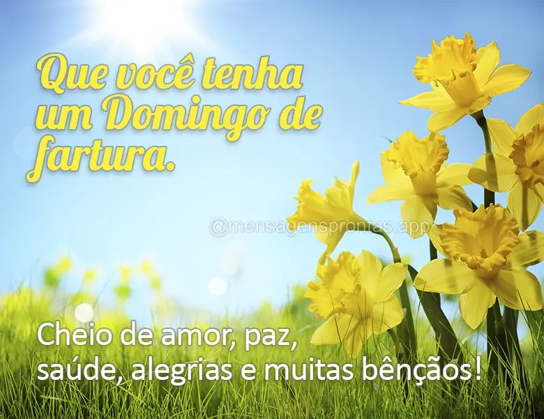 Que você tenha um Domingo de fartura. Cheio de amor, paz, saúde, alegrias e muitas bênçãos!