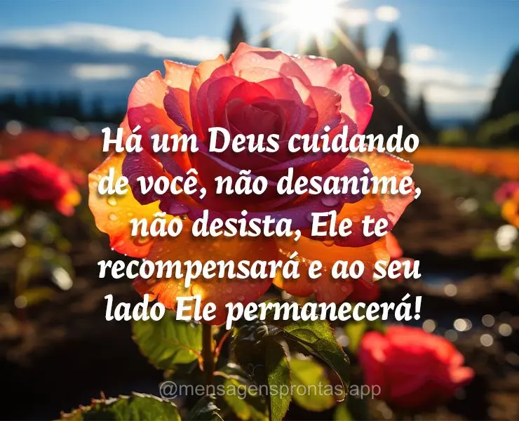 Há um Deus cuidando de você, não desanime, não desista, Ele te recompensará e ao seu lado Ele permanecerá!