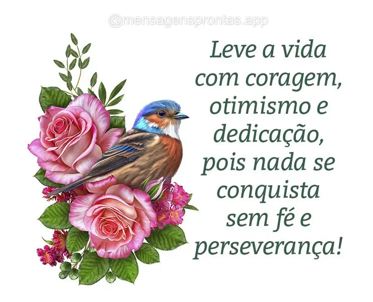 Leve a vida com coragem, otimismo e dedicação, pois nada se conquista sem fé e perseverança!