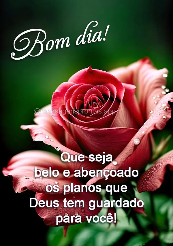 Que seja belo e abençoado os planos que Deus tem guardado para você! Bom dia!