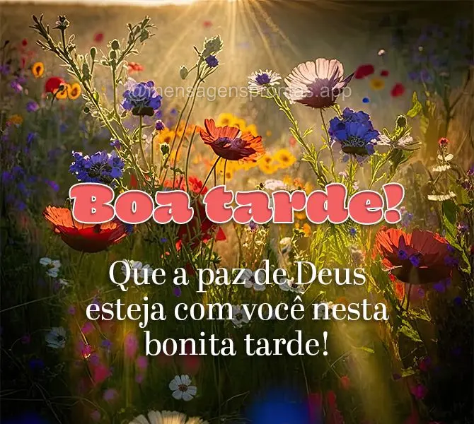 Que a paz de Deus esteja com você nesta bonita tarde! Boa tarde!