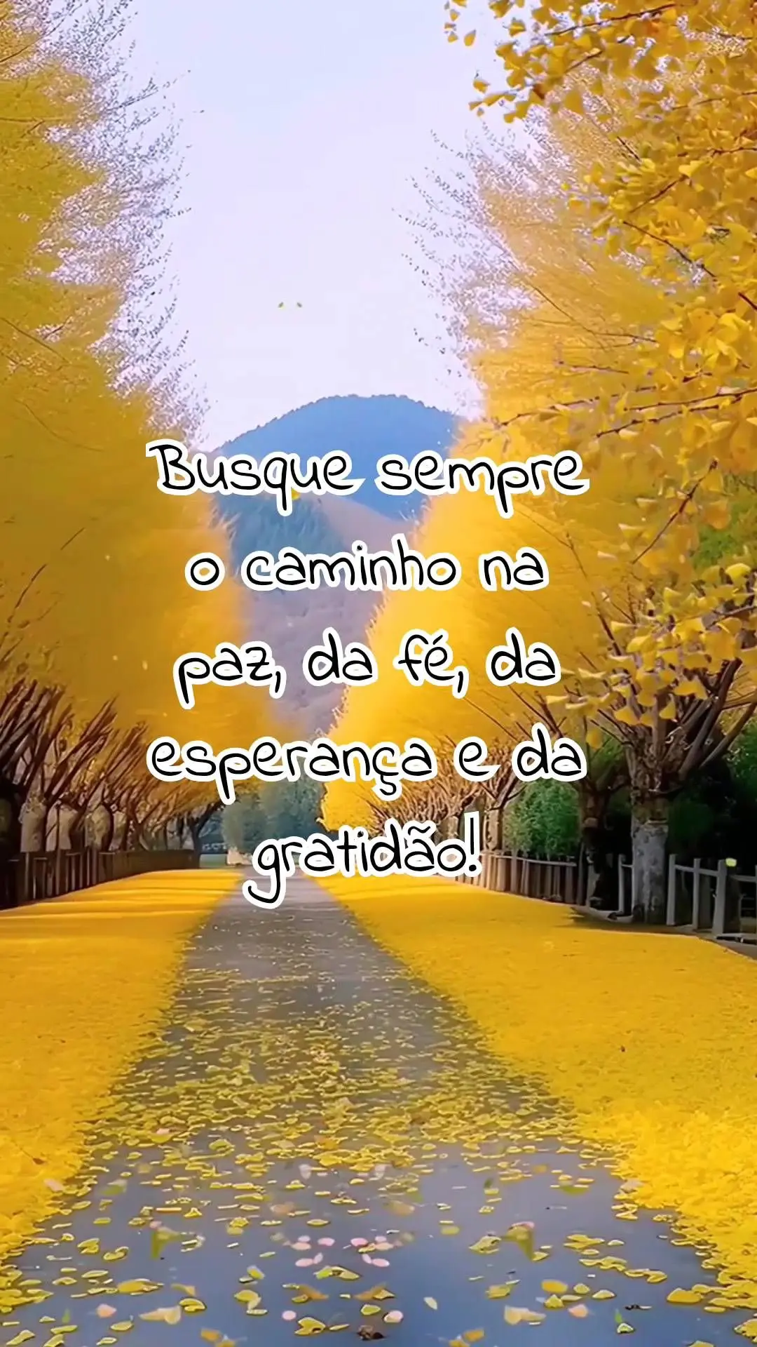 Nada poderá atrapalhar quem segue otimista e confiante nos planos de Deus! Busque sempre o caminho na paz, da fé, da esperança e da gratidão!