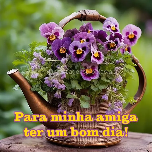 Para minha amiga ter um bom dia!