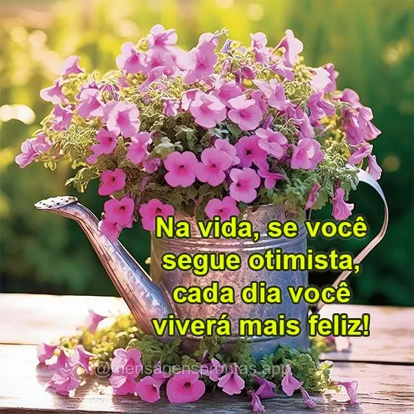 Na vida, se você segue otimista, cada dia você viverá mais feliz!