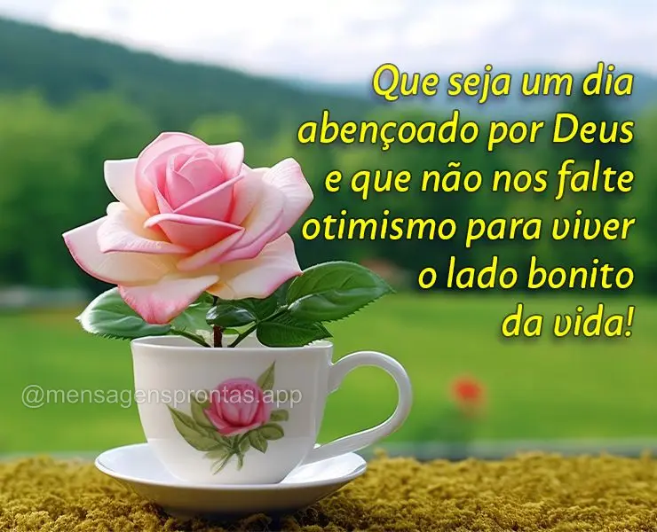 Que seja um dia abençoado por Deus e que não nos falte otimismo para viver o lado bonito da vida!