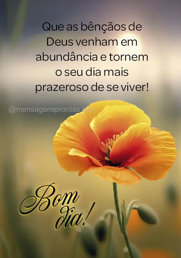 Que as bênçãos de Deus venham em abundância e tornem o seu dia mais prazeroso de se viver! Bom dia!