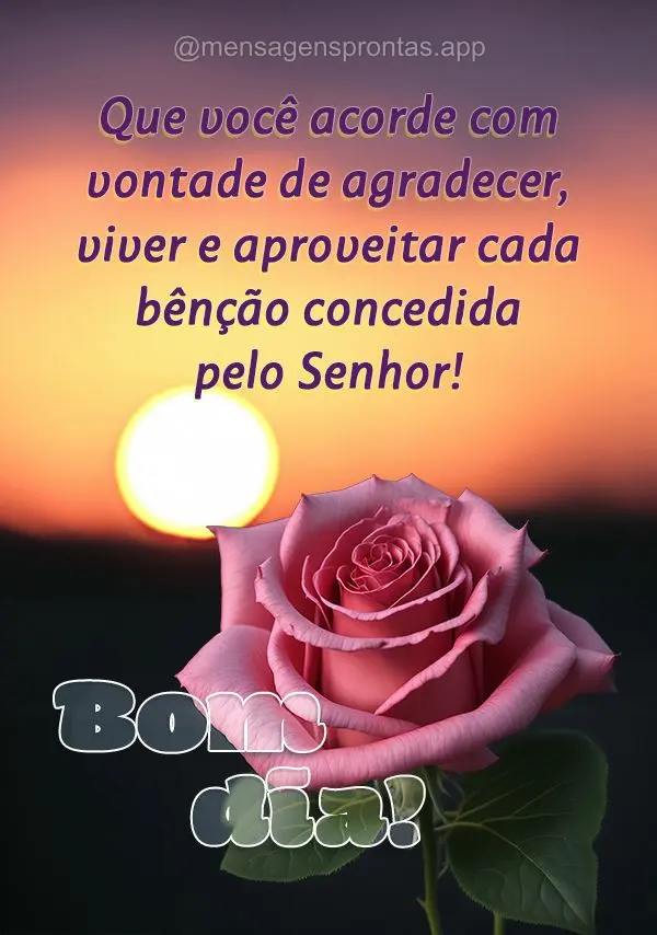 Que você acorde com vontade de agradecer, viver e aproveitar cada bênção concedida pelo Senhor! Bom dia!