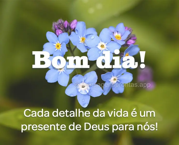 Cada detalhe da vida é um presente de Deus para nós! Bom dia!