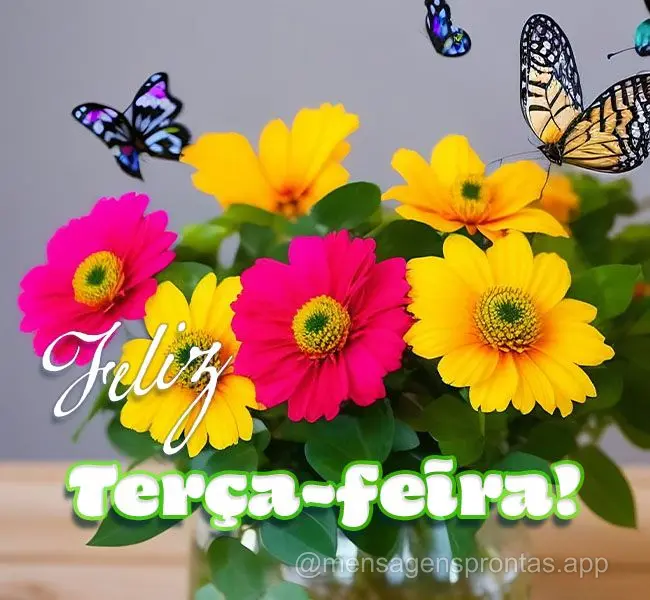 Feliz Terça-feira!