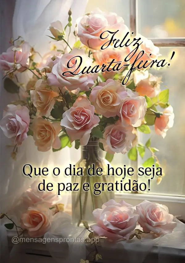 Que o dia de hoje seja de paz e gratidão! Feliz Quarta-feira!