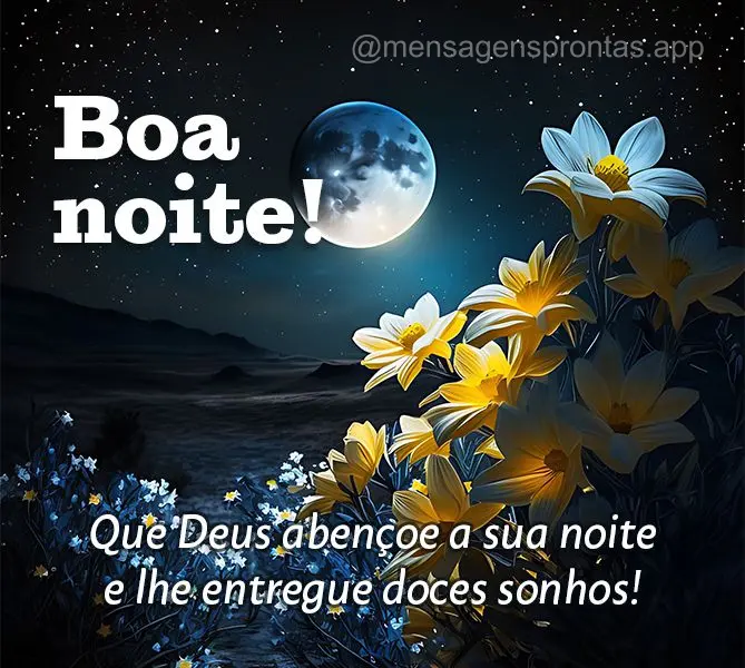 Que Deus abençoe a sua noite e lhe entregue doces sonhos! Boa noite!