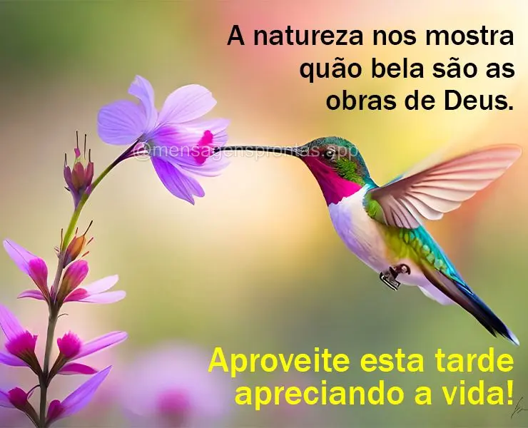 A natureza nos mostra quão bela são as obras de Deus. Aproveite esta tarde apreciando a vida!