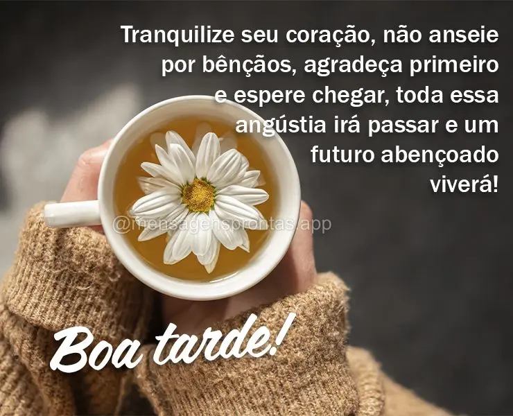 Tranquilize seu coração, não anseie por bênçãos, agradeça primeiro e espere chegar, toda essa angústia irá passar e um futuro abençoado viverá...