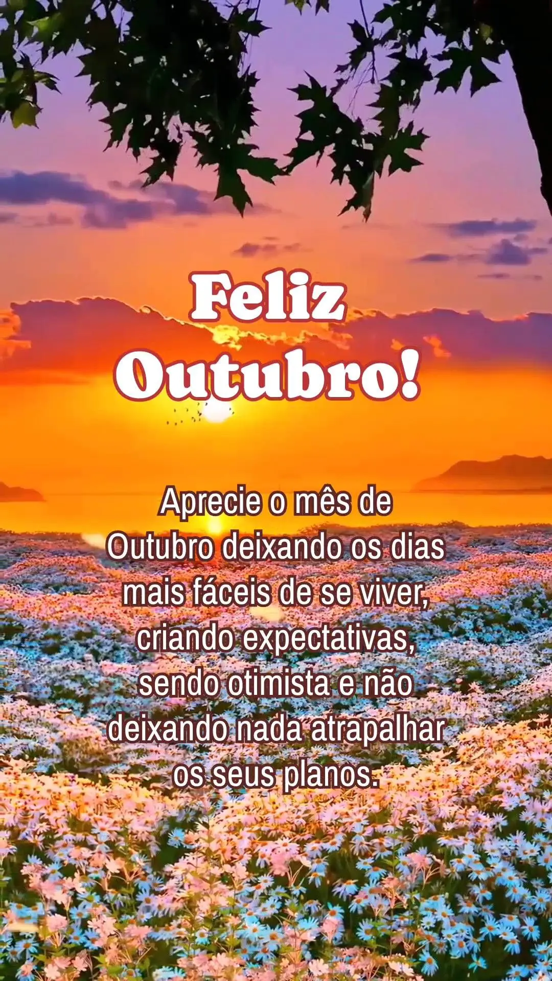 Aprecie o mês de Outubro deixando os dias mais fáceis de se viver, criando expectativas, sendo otimista e não deixando nada atrapalhar os seus planos....