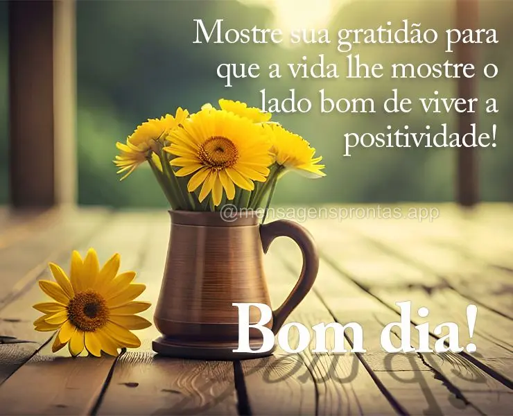 Mostre sua gratidão para que a vida lhe mostre o lado bom de viver a positividade! Bom dia!