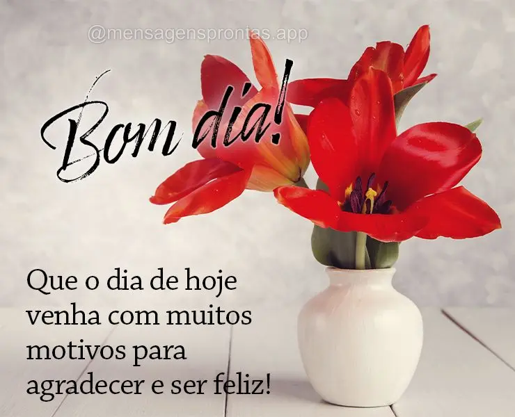 Que o dia de hoje venha com muitos motivos para agradecer e ser feliz! Bom dia!