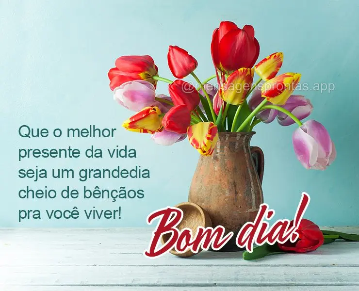 Que o melhor presente da vida seja um grande dia cheio de bênçãos pra você viver! Bom dia!