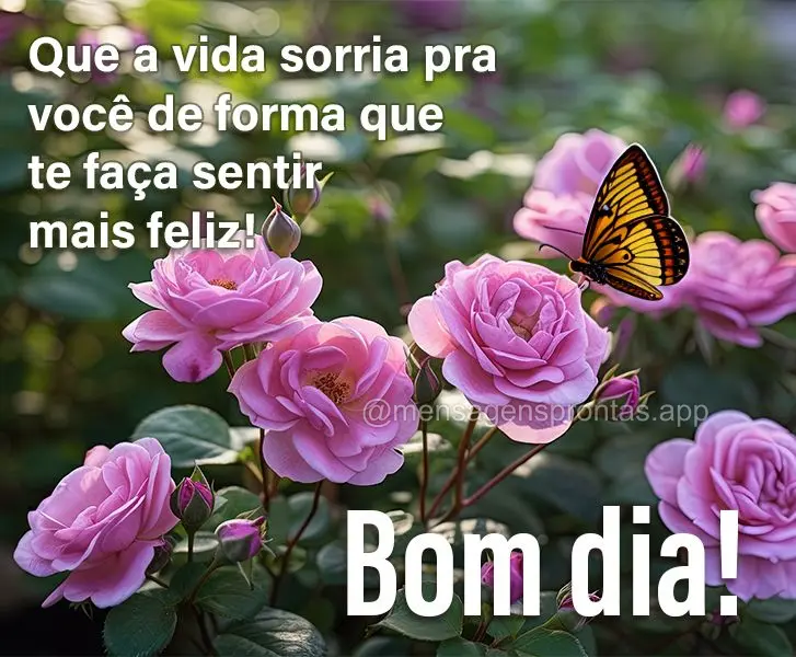 Que a vida sorria pra você de forma que te faça sentir mais feliz! Bom dia!