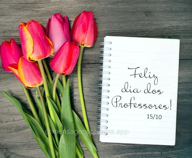 Feliz dia dos Professores! 15/10