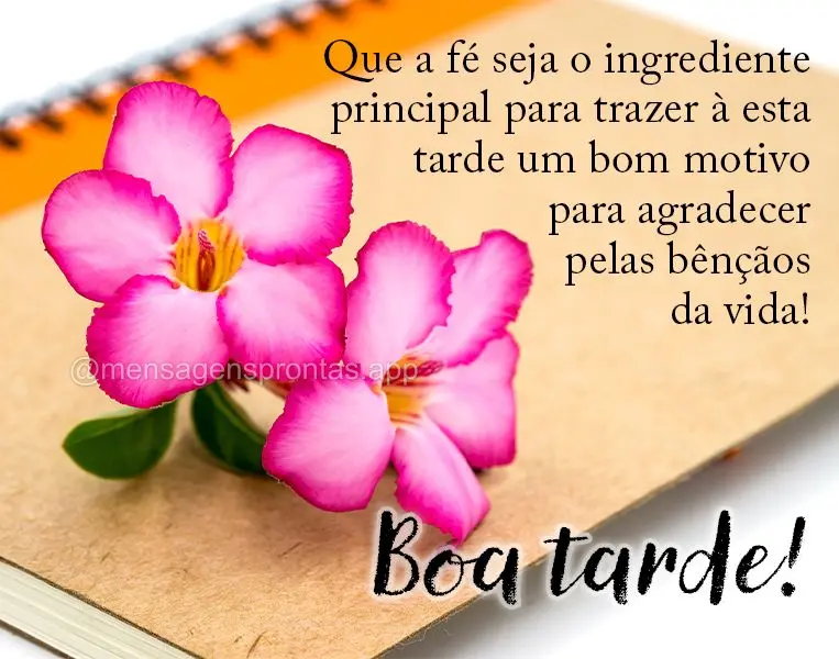 Que a fé seja o ingrediente principal para trazer à esta tarde um bom motivo para agradecer pelas bênçãos da vida! Boa tarde!