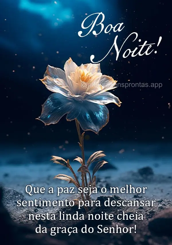 Que a paz seja o melhor sentimento para descansar nesta linda noite cheia da graça do Senhor! Boa noite!