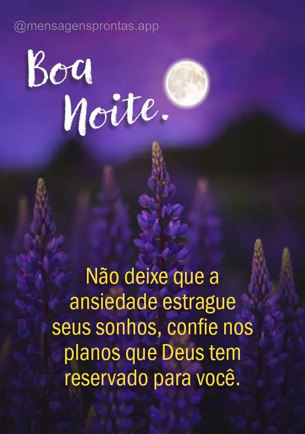 Não deixe que a ansiedade estrague seus sonhos, confie nos planos que Deus tem reservado para você. Boa noite!