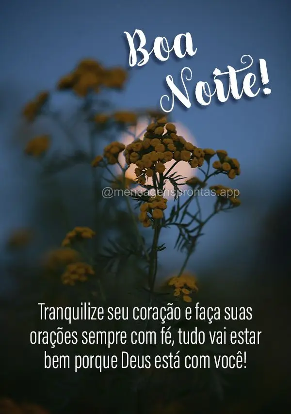 Tranquilize seu coração e faça suas orações sempre com fé, tudo vai estar bem porque Deus está com você! Boa noite!