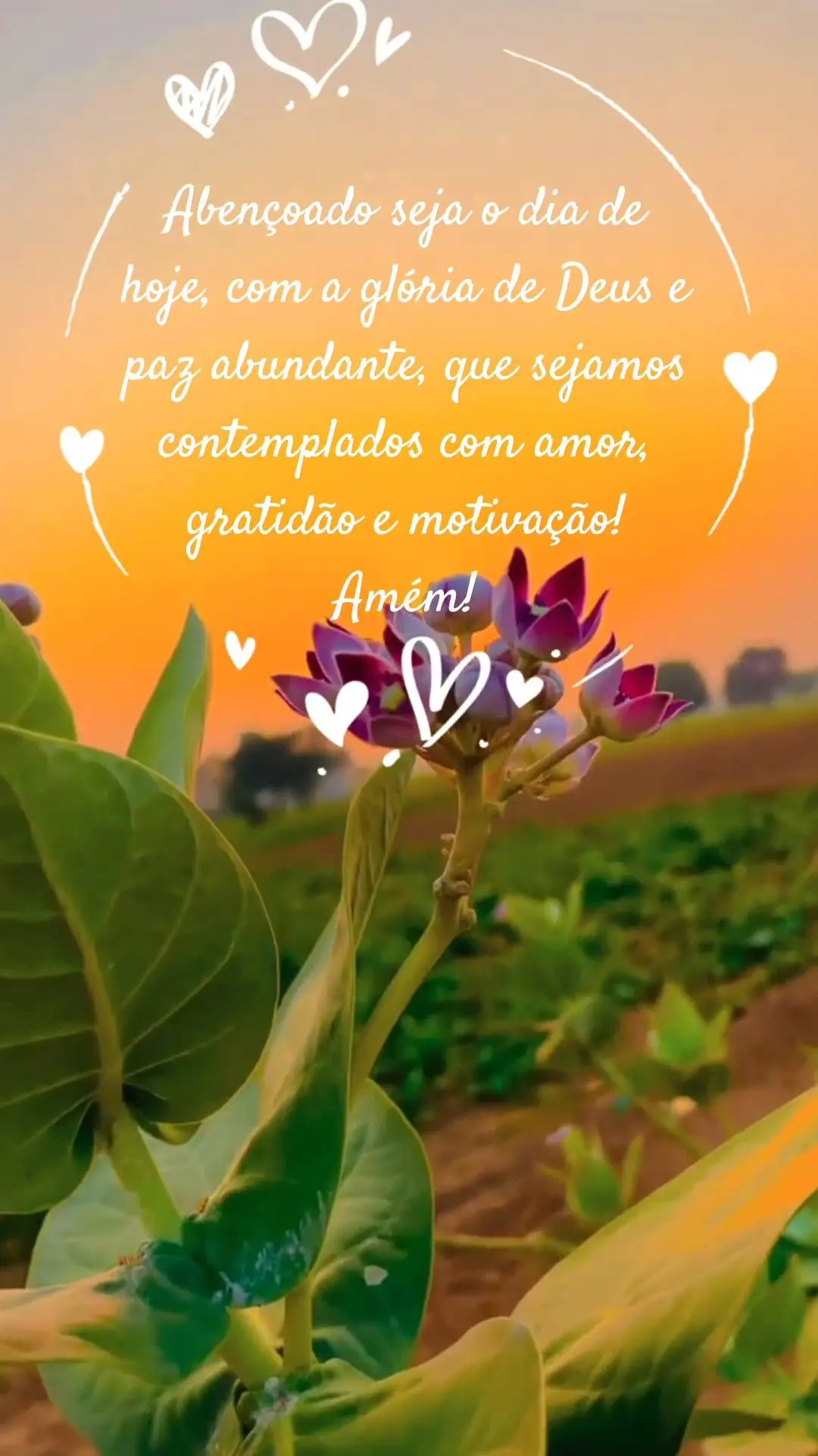 Abençoado seja o dia de hoje, com a glória de Deus e paz abundante, que sejamos contemplados com amor, gratidão e motivação! 
Amém!