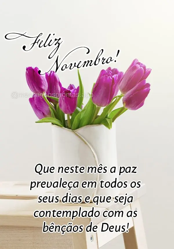 Que neste mês a paz prevaleça em todos os seus dias e que seja contemplado com as bênçãos de Deus! Feliz Novembro!