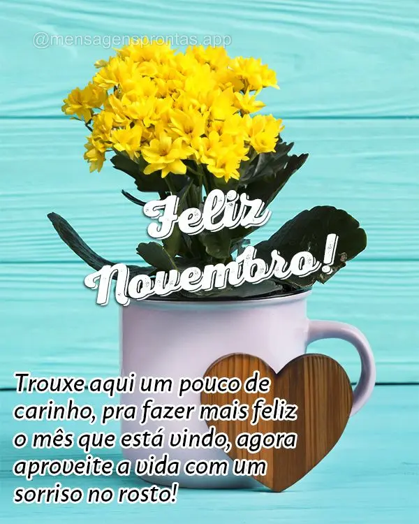 Trouxe aqui um pouco de carinho, pra fazer mais feliz o mês que está vindo, agora aproveite a vida com um sorriso no rosto! Feliz Novembro!