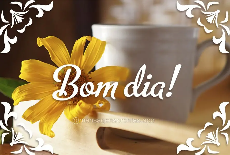 Bom dia!