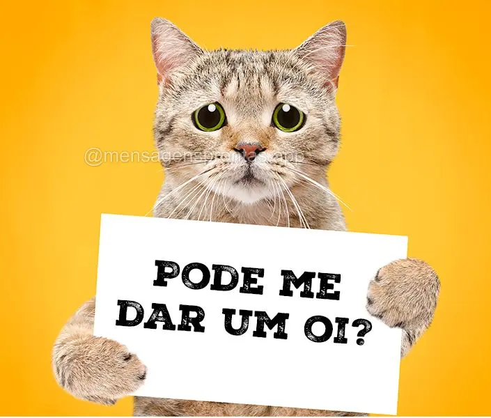 Pode me dar um oi?