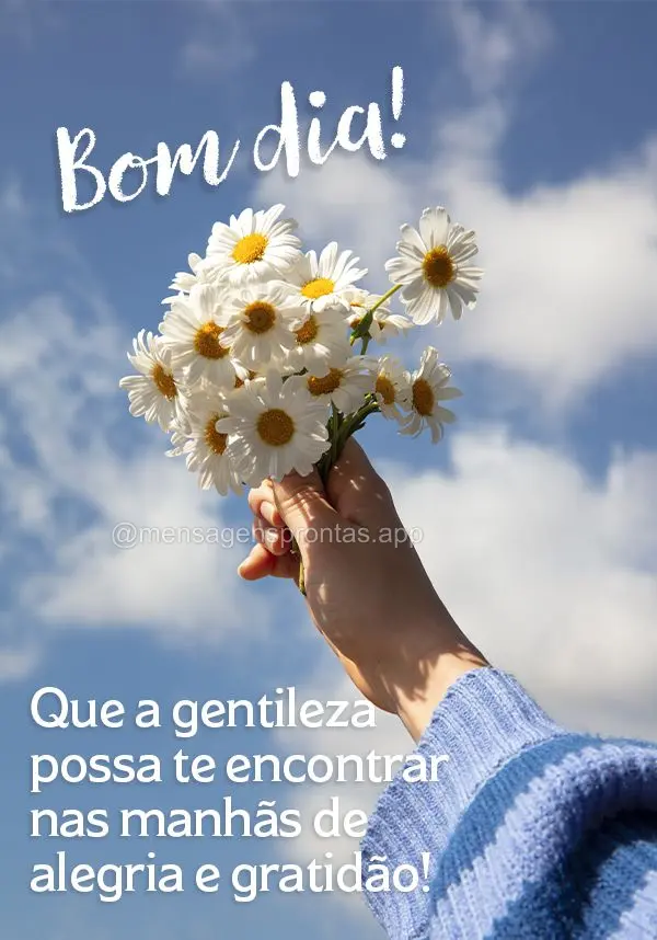 Que a gentileza possa te encontrar nas manhãs de alegria e gratidão! Bom dia!