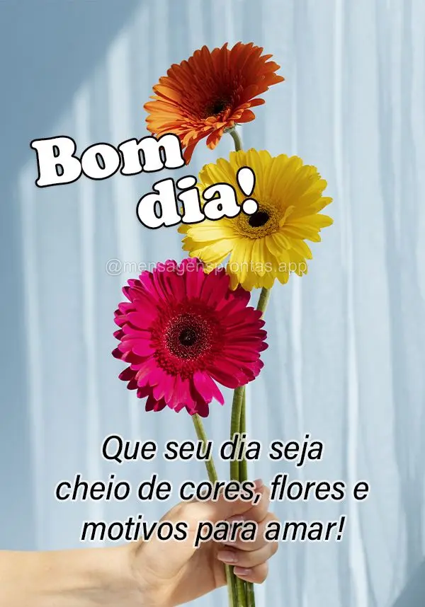 Que seu dia seja cheia de cores, flores e motivos para amar! Bom dia!