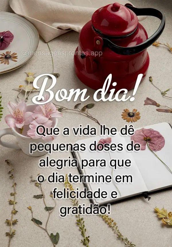 Que a vida lhe dê pequenas doses de alegria para que o dia termine em felicidade e gratidão! Bom dia!