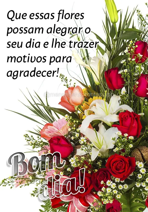 Que essas flores possam alegrar o seu dia e lhe trazer motivos para agradecer! Bom dia!