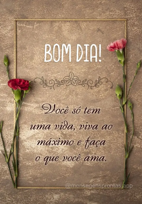 Você só tem uma vida, viva ao máximo e faça o que você ama. Bom dia!