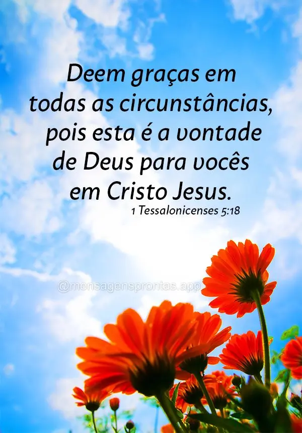 Deem graças em todas as circunstâncias, pois esta é a vontade de Deus para vocês em Cristo Jesus. 1 Tessalonicenses 5:18