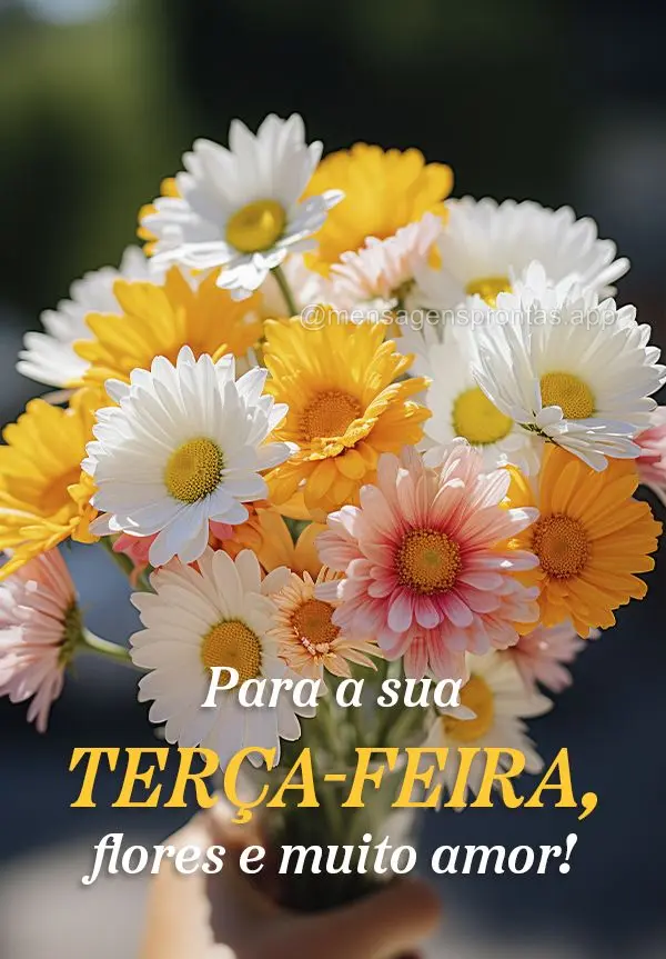 Para a sua Terça-feira, flores e muito amor!