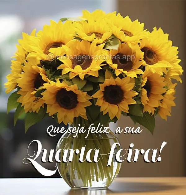 Que seja feliz  a sua Quarta-feira!